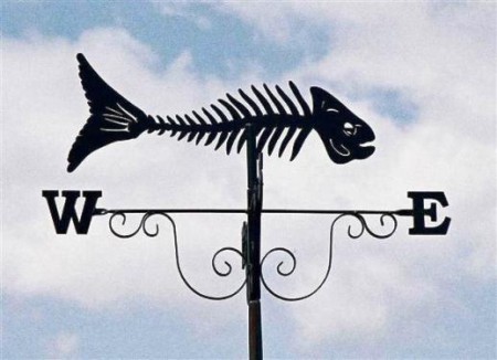 East and West - Home is best.
